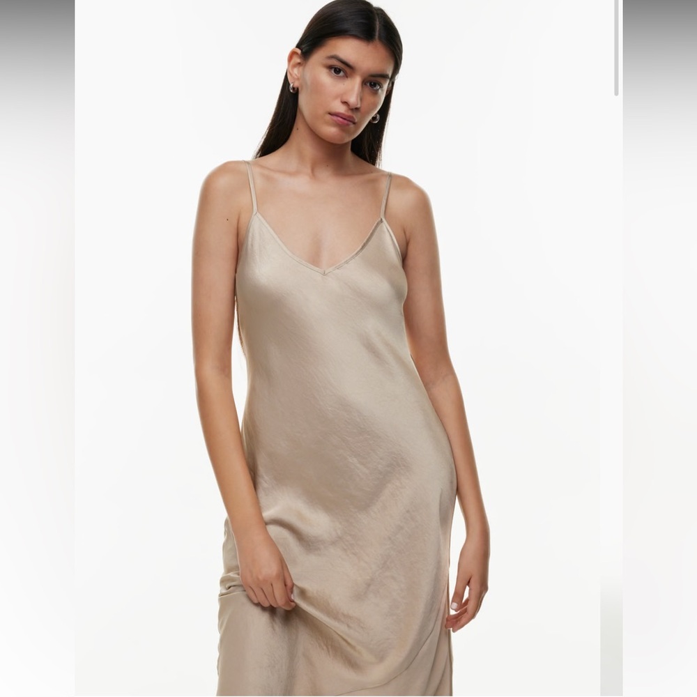Aritzia Wilfred Slip Dress